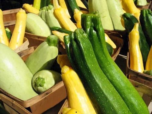 吃瓜娱乐营养,营养生活新风尚 第3张 吃瓜娱乐营养,营养生活新风尚 第3张