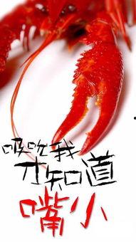 骚年龙虾爆料视频播放在线观看,视频内容抢先看，在线观看不容错过！  第3张